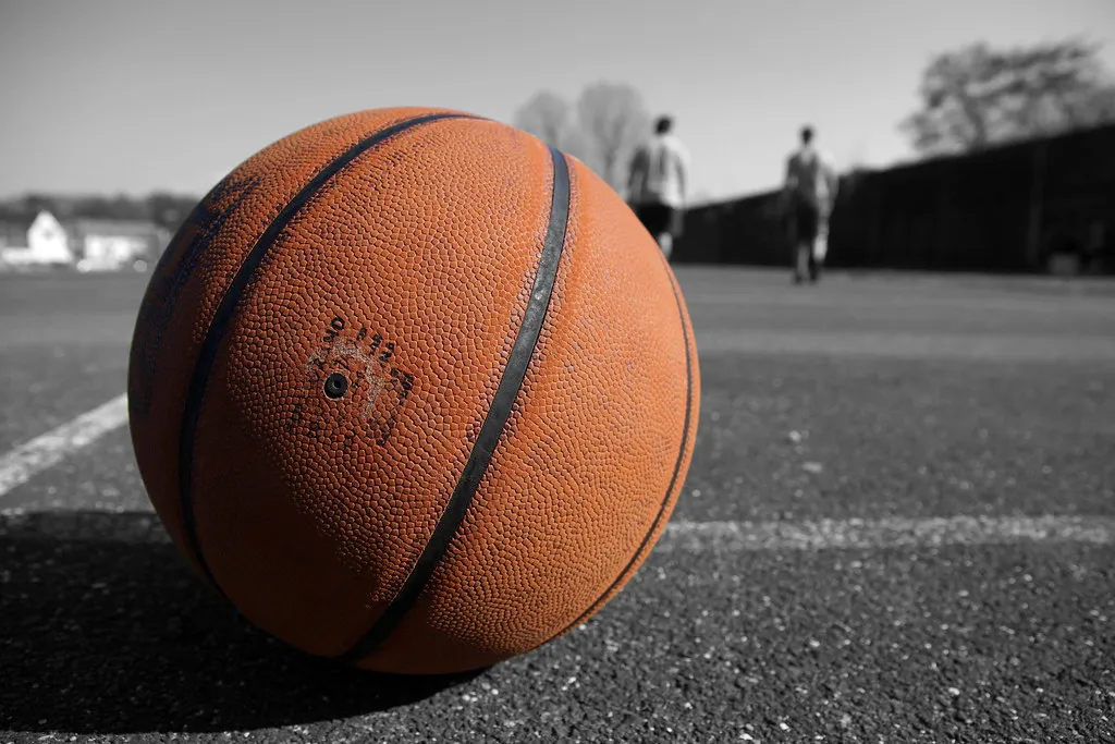 48619748653 b468e23ee5 b